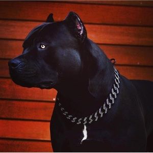 Meet your Posher, Walts